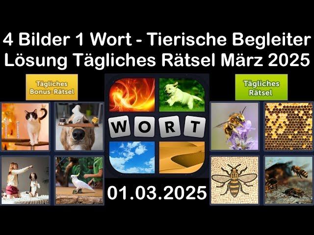 4 Bilder 1 Wort - Tierische Begleiter - 01.03.2025 - Lösung Tägliches Rätsel - März 2025