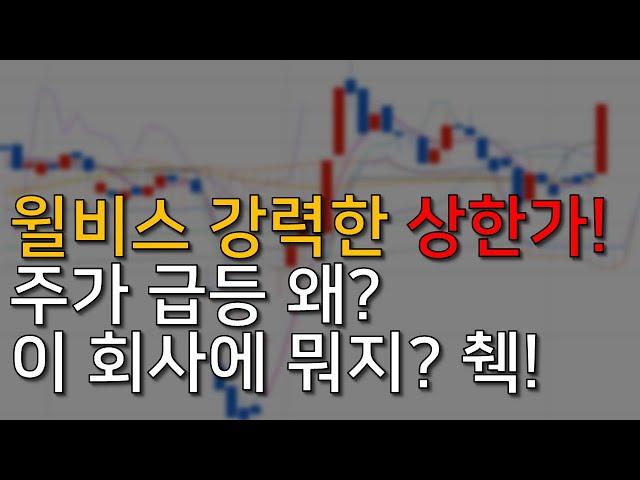 윌비스 주가, 지금 사도 될까? 회사 내용 심층 분석!