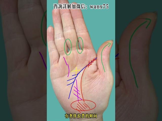 没有事业运的手相：外表光鲜却口袋空空#手相 #面相 #科普 #palmistry #physiognomy #星座 #八字 #命理