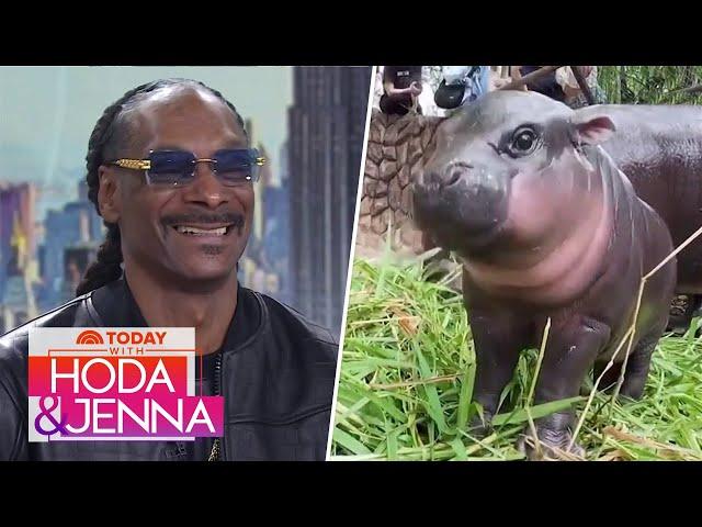 Snoop Dogg on Moo Deng: 'That is a pretty hippopotamus'