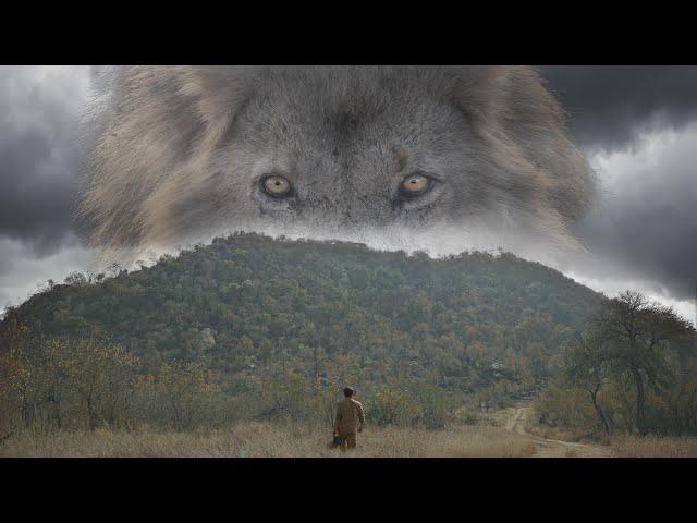 LA MONTAGNE AUX LIONS - Les secrets de la Nature