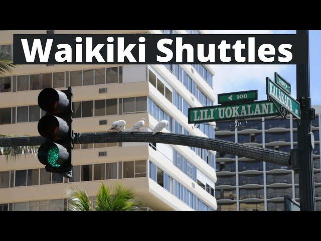 No car? No problem! | 6 Waikiki Shuttles to take you around | Blue Wave Tours | OAHU