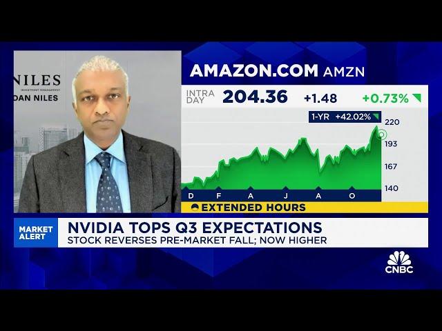 Commentary on Nvidia's earnings call saved stock from falling further, says Dan Niles