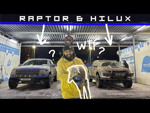 Нашли овцу в лесу !!! Raptor & Hilux