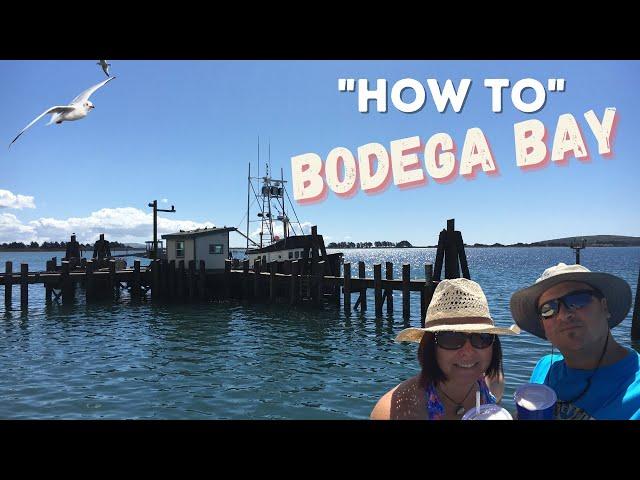 How to do a Day Trip to Bodega Bay