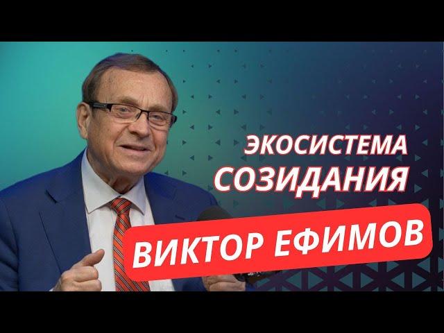 Виктор Алексеевич Ефимов. Экосистема созидания. Новая парадигма существования человечества.