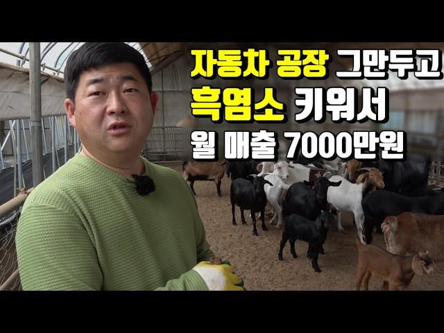 코로나 때문에 오히려 대박 난 농부 (갑자기 흑염소즙이 불티나게 팔림)