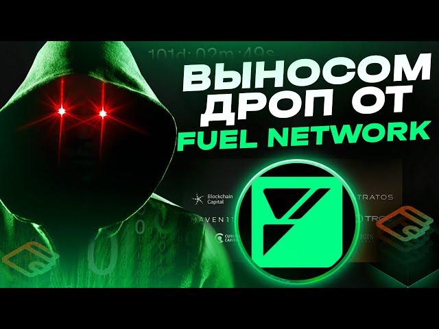 Fuel Network вышел в майнет. Что нужно знать о фарминге дропа?