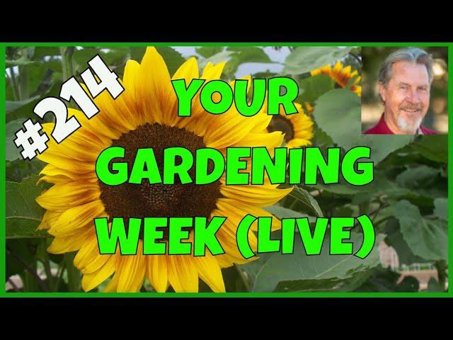 The Best Gardening Tips (Q&A)