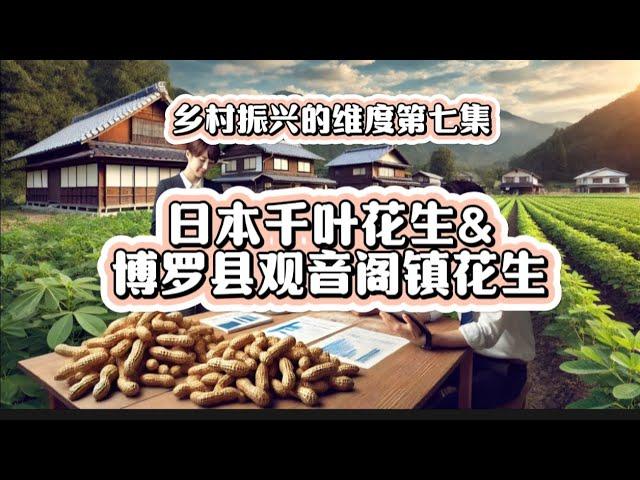 乡村振兴的维度第七集:一颗花生的全球之旅：惠州市博罗县观音阁镇可以像日本千叶花生一样走向世界吗？-首先要回答:可以。然后就是勇敢去实现！#乡村振兴 #花生产业 #博罗观音阁 #振兴乡村 #深度思考