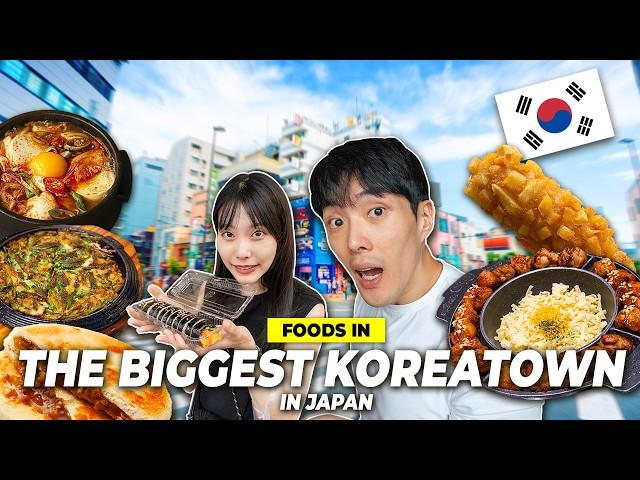 Foods in Japan's BIGGEST Koreatown