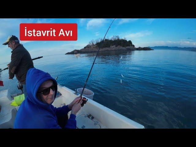 İstavrit o kadar çok ki  kovalar doldu !!! İstavrit Avı Giresun!!!! #istavrit #balık #fishing