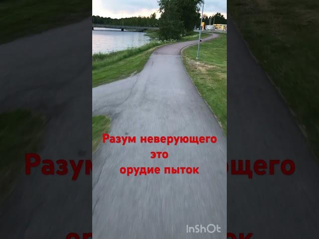 Разум неверующего это орудие пыток!#youtubeshorts #разум #allah #мусульмане #верующие #мусульмане #