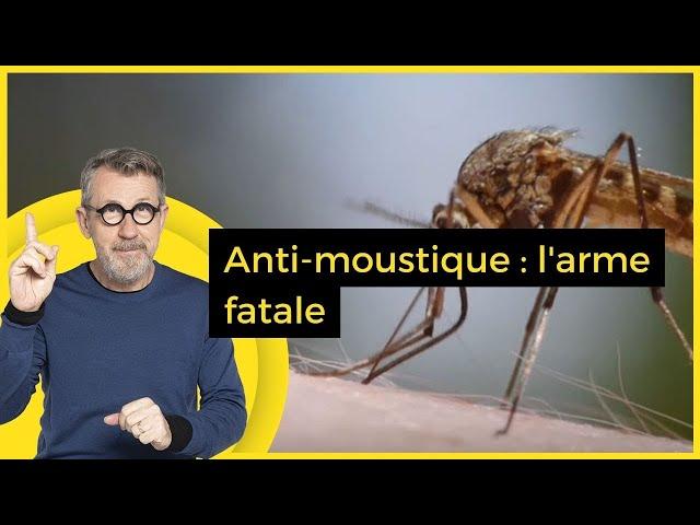 Anti-moustique : l'arme fatale - C Jamy