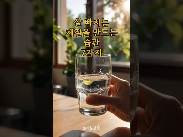 살 빠지는 체질을 만드는 습관 7가지｜긍정확언｜아침명상｜긍정사고｜인생조언