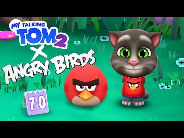 New! Angry Birds in My Talking Tom 2 - Android/iOS Gameplay