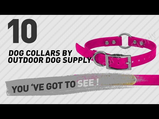 Dog Collars By Outdoor Dog Supply // Top 10 Most Popular