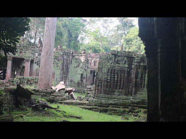 Tan Bonita La Naturaleza, Relajarse Con El Templo Tranquilo