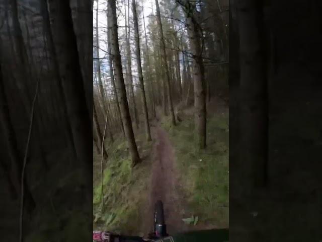 Definitely don’t wana hug one of those trees #bike #mtb #mtbmonster #gopromtb #ebike #mondrakerbikes