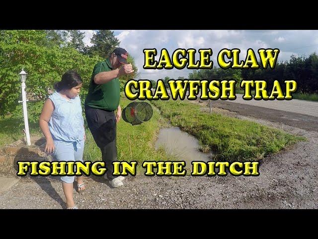 Eagle Claw Crawfish /  Minnow Trap Crawfishing in the Road Ditch