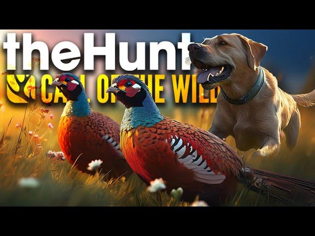 Diese Fasane treiben mich in die Verzweiflung!  | theHunter Call of the Wild