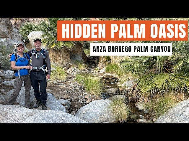 The Beauty of the Borrego Palm Canyon Trail in Anza Borrego State Park