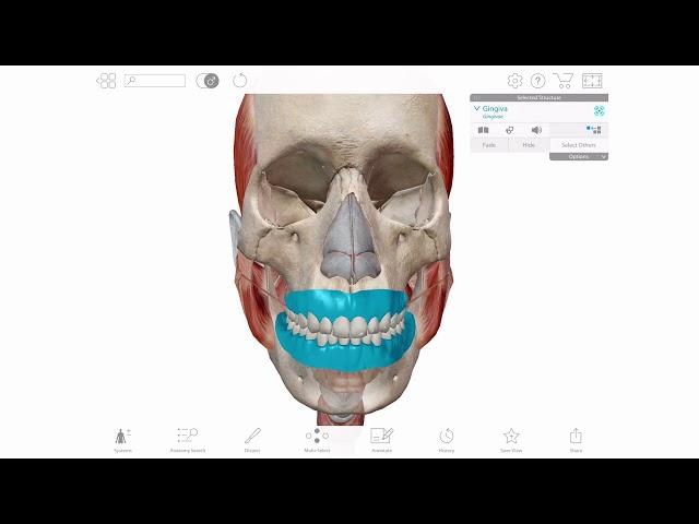 Find Lesson Content | Visible Body Courseware