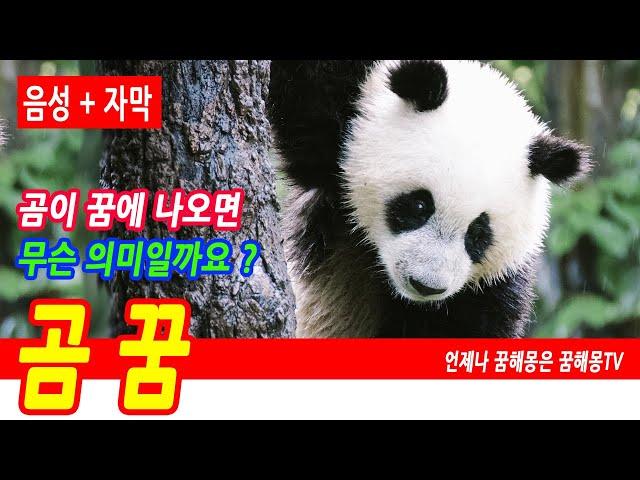 곰 꿈해몽, 상황별 곰꿈 모음, 펜더곰꿈, 야생곰 꿈, 펜더곰, 곰 키우는 꿈, 곰이 달려 드는 꿈, 곰이 안기는 꿈,곰 나오는 꿈, 곰 관련 꿈, 웅담 먹는 꿈, 예언, 예지몽