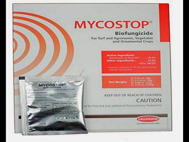 ⟹ Mycostop Biofungicide | Verdera | How to apply to garden plants