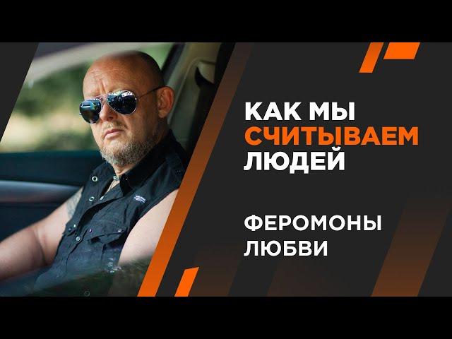 Феромоны. Как мы считываем людей. Андрей Протасеня | Архитектура Отношений