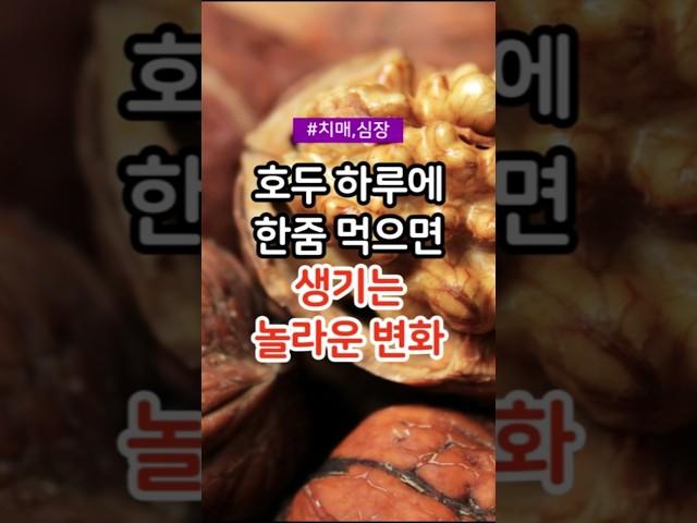 매일 호두 한 줌 먹으면 생기는 놀라운 변화 #건강 #건강정보 #건강상식