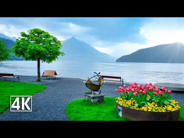 Switzerland 4K Vitznau, beautiful village lies in an idyllic bay of Lake Lucerne