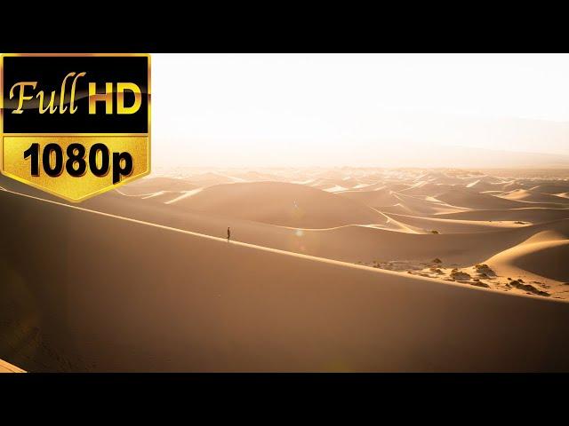 Desert Stock Footage | Free HD Video - no copyright  I Sahara Desert