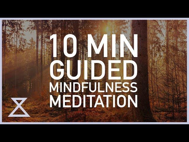 Guided Mindfulness Meditation (10 Minutes) No Music