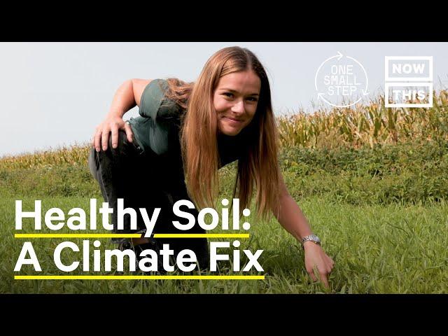 Can Regenerative Agriculture Reverse Climate Change? | One Small Step