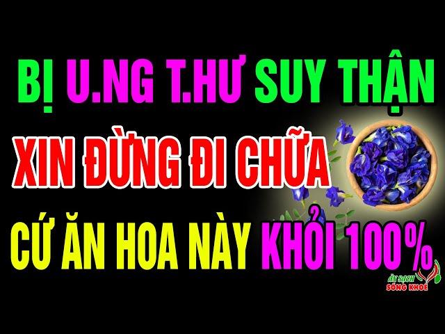 Bác Sỹ Tiết Lộ 7 Loài Hoa Cực Tốt Cho Sức Khỏe, Hồi Sinh Gan Thận, Ngăn Ngừa UT Hiệu Quả