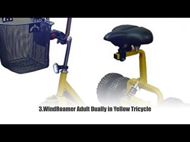  Top 10 Best Tricycles for Adult 