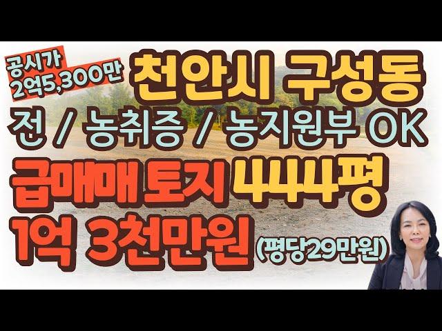 [토지/매매] 천안시 동남구 구성동 공시지가이하토지 급매매 / 총 444평 /진입로 있음/농지원부 ,농지연금/럭셔리정TV  010-3614-8347