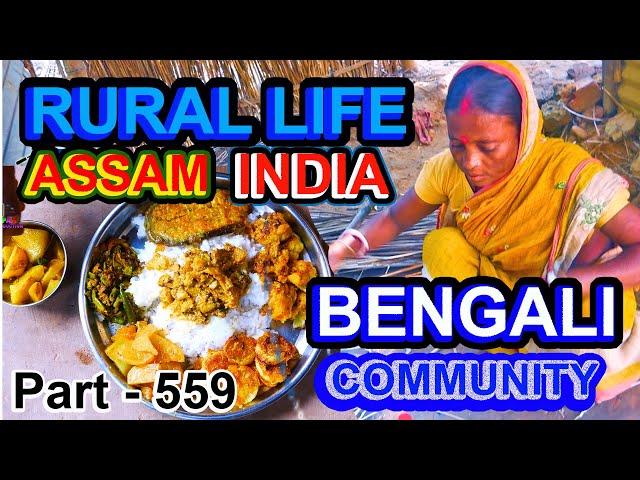 RURAL LIFE OF BENGALI COMMUNITY IN ASSAM, INDIA, Part  -  559 ...