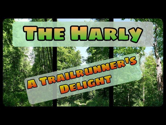 A Trailrunner's Delight - The Harly - POV Cardio Workout Support for Treadmill, Elliptical, etc.