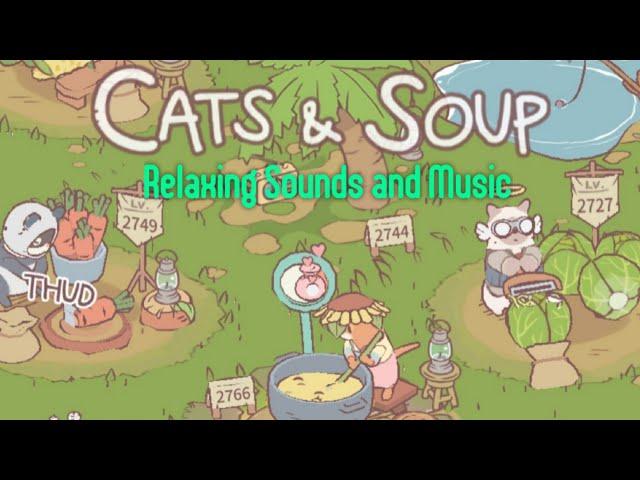 Cats & Soup ~ 1hr of Relaxing Cooking Sounds and Music for Sleep, Meditation, Studying, ASMR