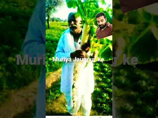 muraiya Jaunpur ke#hot Bhojpuri viral khesari Lal Yadav#youtube channel#vinod doston subscribe Karen
