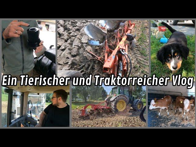 Wheelie beim Mistfahren, Grubbern, neuer Stall wird bezogen & neuer Hofhund | Vlog #45