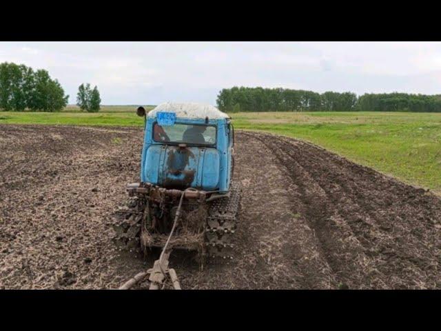 деревня /рискуем остаться без хлеба/и другие житейские дела