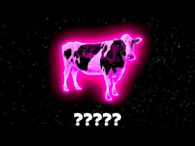 8 "Cow" Sound Variations in 30 Seconds