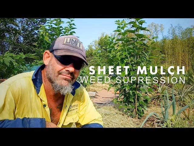 Best weed control method ever