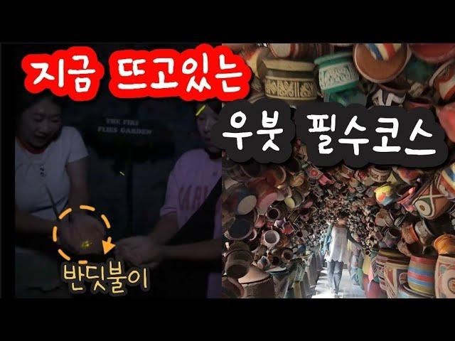 한국인은 1도모르는 우붓1등 인스타명소와 반딧불이 체험