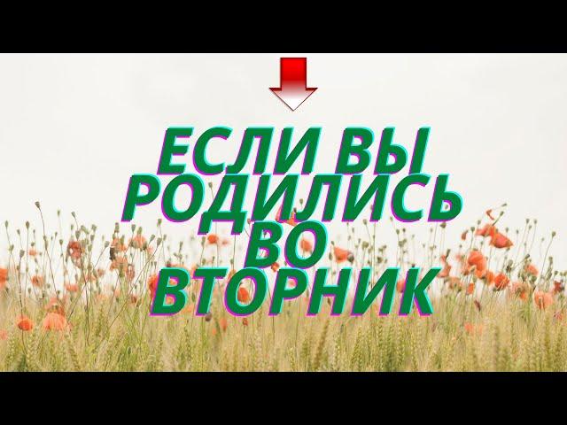 Люди вторника. Если вы родились во вторник. Валентина Мартынюк. shorts.