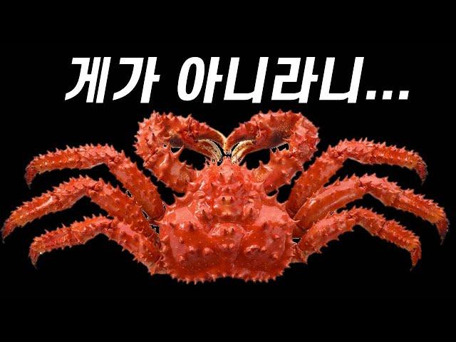 게도 아닌 게, 게같이 진화한 이유!(ft.킹크랩은 게가 아니다)