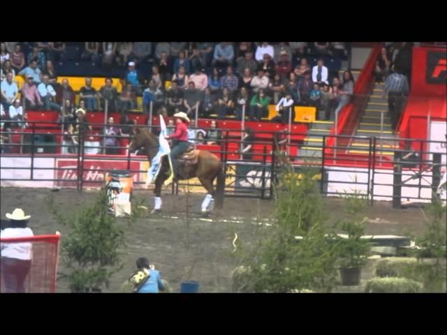 salon du cheval 2015 st-hyacinthe partie 3/3